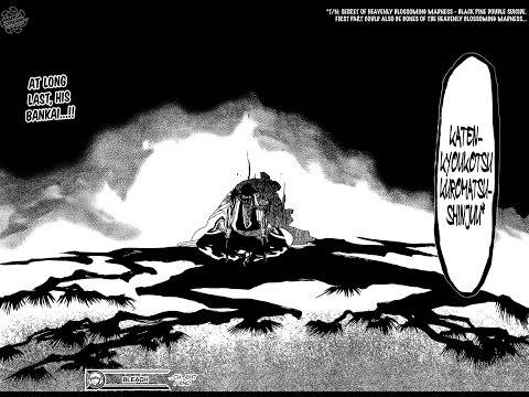 Bleach Manga Ch.647: Last Resort, Bankai!!!