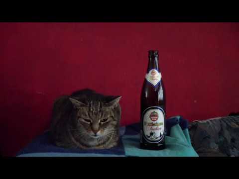 Bier zum Frühstück - Outtakes
