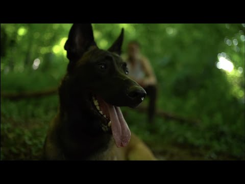 Coinz - Questions || Official Music Video