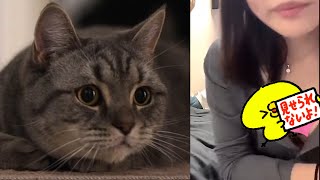 【TikTokライブ】