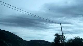 preview picture of video 'Gorges du Verdon - Gieren boven La Palud (Vultures)'
