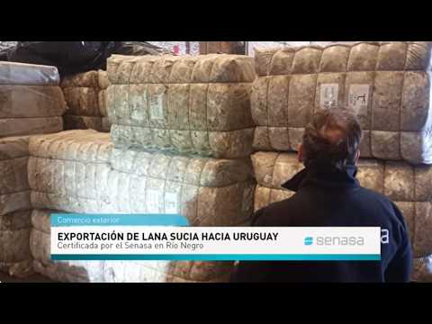 Río Negro:; Exportación de lana sucia a Uruguay