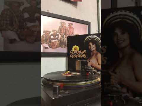 Cumbia Salvaje El Combo Los Estudiantes