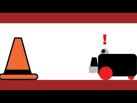 SICK's TiM$10K Challenge 2020 - FreeFall, the Seeing-Eye Dog