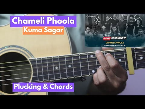 Chameli Phoola - Kuma Sagar | Guitar Lesson | Plucking & Chords