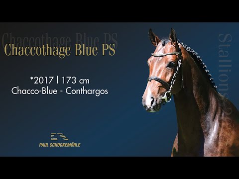 Chaccothage Blue PS