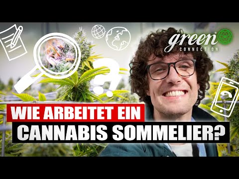 Girl Scout Cookies x OG Kush Breath STRAIN REVIEW mit CANNABIS SOMMELIER Tim Dresemann