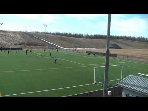 OLS06 Keltainen - Kajha