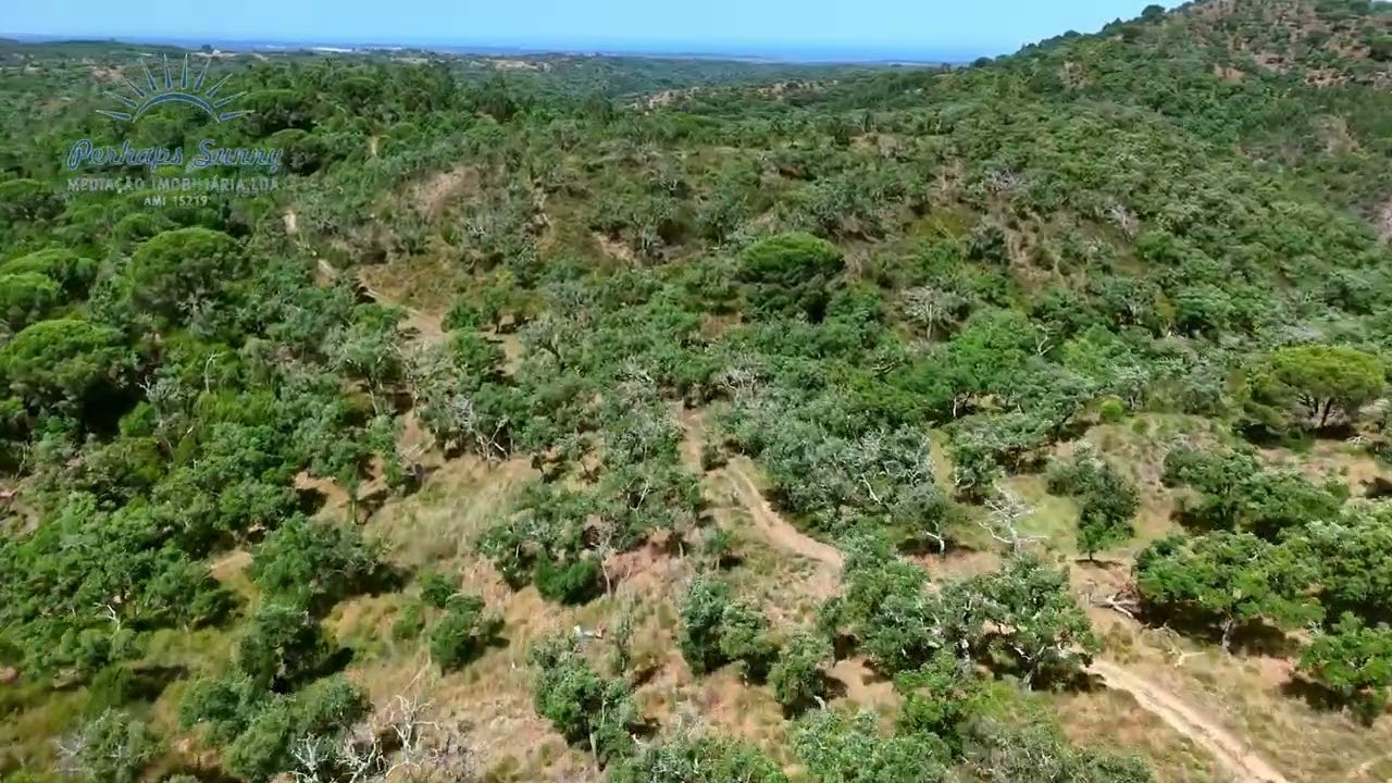 Vídeo do imóvel