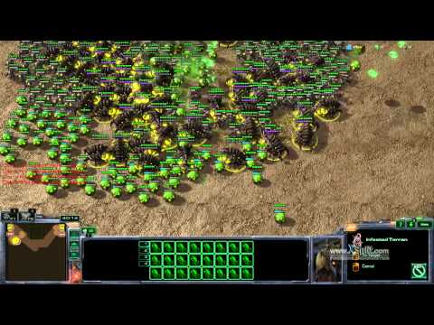 Infested Terrans!