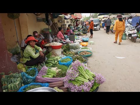 Countryside Street Food Market @Phsa Odongk - Morning Activities of Vendors at Countryside Market