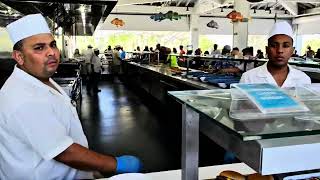 Ocean Cay with MSC Cruises | Day 4 Cruise Vlog 2026