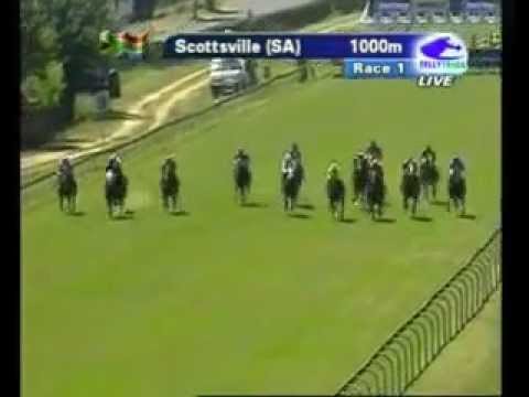 2012-02-26 Scottsville - race 1