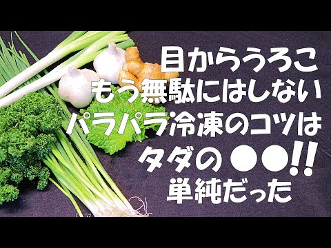 パセリを冷凍する: こうすることで、鮮度が長期間保たれます 植物