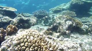 preview picture of video 'Octopus and Blue Lagoon Resorts, Fiji'