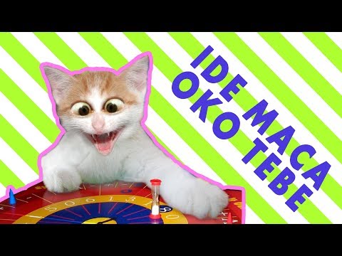 DEČIJE PESME // IDE MACA OKO TEBE