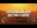 Oasis - Stop Crying Your Heart Out | Best Part | Looped (Reverb)