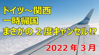 【日本帰国】2022年3月、デュッセルドルフ（ドイツ）から、KLMオランダ航空で、アムステルダム（オランダ）経由、関空へ一時帰国しました。ウクライナ情勢で飛行機が２度キャンセルになった模様です。