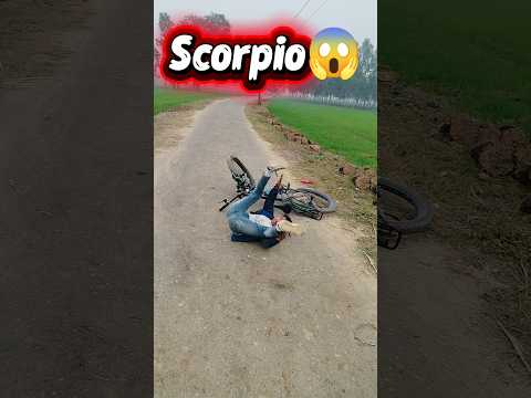 Alto😁 Sift🤠 Scorpio😱👀#tranding#viral#cycle#stunts#rider#life#hard#stunt#hard#cycle#drift#viral#video