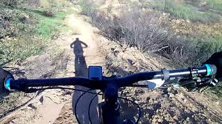 Sheep Corral Trail downhill (Chesebro Canyon).