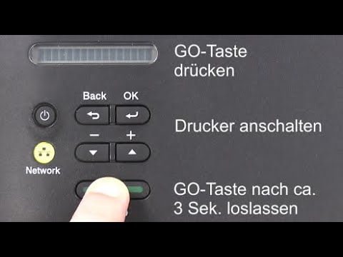 Wie führe ich den Toner-Reset bei dem Brother Drucker HL-L2360DN durch?