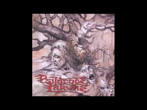 Psilocybe Larvae - 2003 - Agony [Full Album]