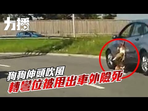 轉彎位被甩出車外險死