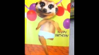 Sexy Underwear Dance