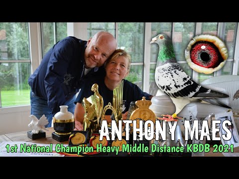 The 1st NATIONAL CHAMPION KBDB HEAVY MIDDLE DISTANCE OLD & YEARLINGS 2021 - Anthony and Chantal Maes