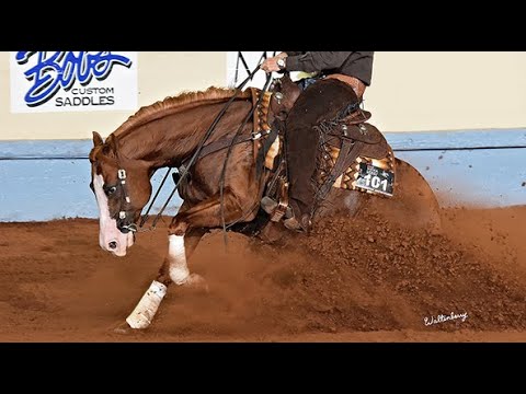 Clinton Anderson: Meet Thor