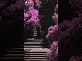 channel