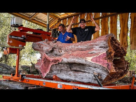 INSANE Cedar Log with Hidden Surprises - 15