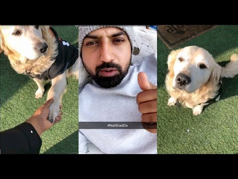 Gippy Grewal Fun with his Dogs | Oops Tv Punjabi