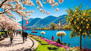 Summer Walk In Most Charming Lake Lugano Switzerland🇨🇭Swiss View