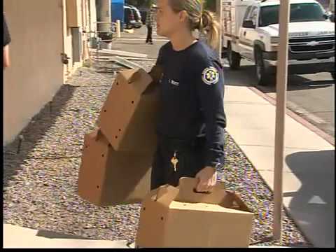 Conference aims to end animal hoarding in AZ