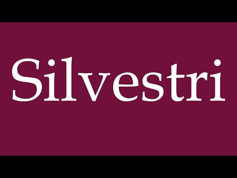 How to Pronounce ''Silvestri'' Correctly in German