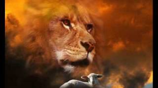 Lion of Judah by Shachah