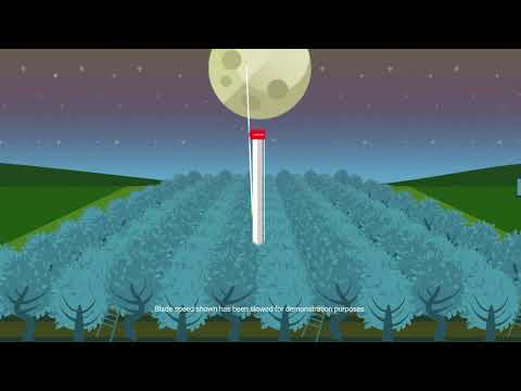 The Science Behind Wind Machines