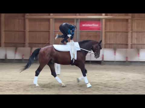 CVN Winterthur 2021 - Lukas Heppler SUI