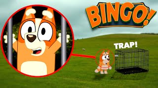 I CAPTURED BINGO FROM BLUEY IN REAL LIFE!! *CURSED BINGO*