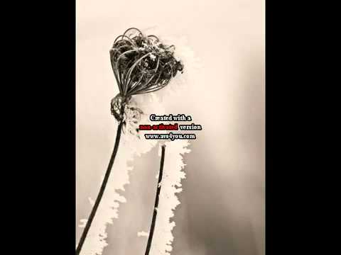 Karoona ir Monika - Likimo neapgausi