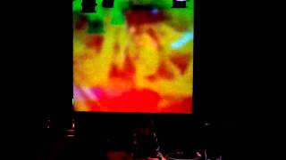 Sean McCann at Neon Marshmallow Fest