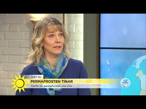 Stora klimatrisker om permafrosten tinar: ”Kol som är fryst i marken kan först… - Nyhetsmorgon (TV4)