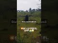 Muniyappan Kavaltheivam Godsongs Shortvideo Tamil