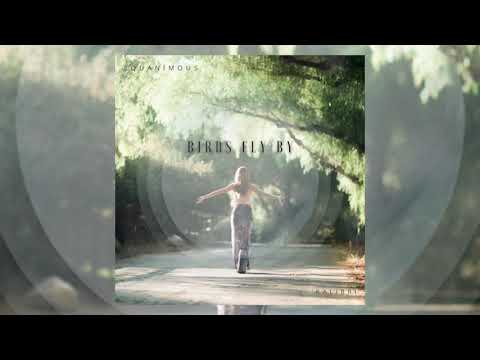 Equanimous & Kalibri - Fly