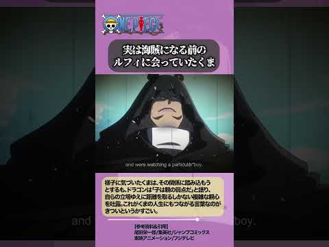 【ワンピース】ルフィとくまは以前に会っていた #ワンピース #onepiece #雑学