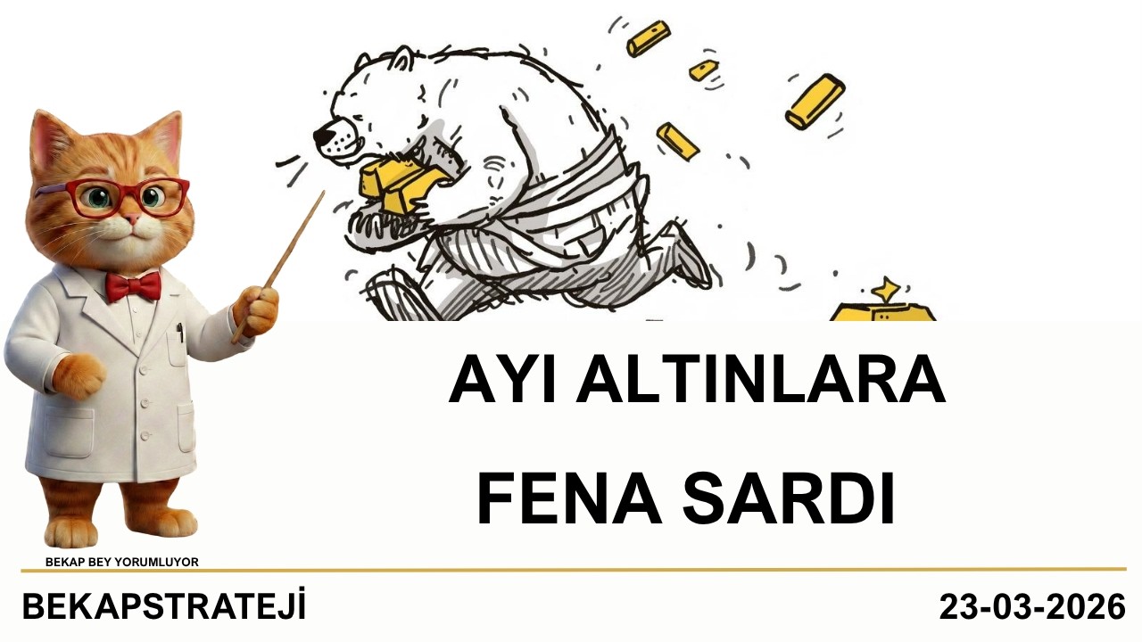 Altın Ne Yaptın Sen ?