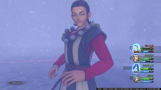 【DQ11】手汗じっとりリーズレット戦【ボス戦】