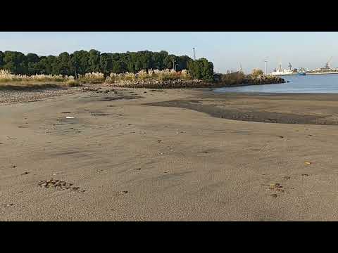 DEVOCIONAL DIÁRIO MAIS UM DIA PARA AGRADECER #285 🙏🏻 O Senhor Está No Controle de Tudo 🙌