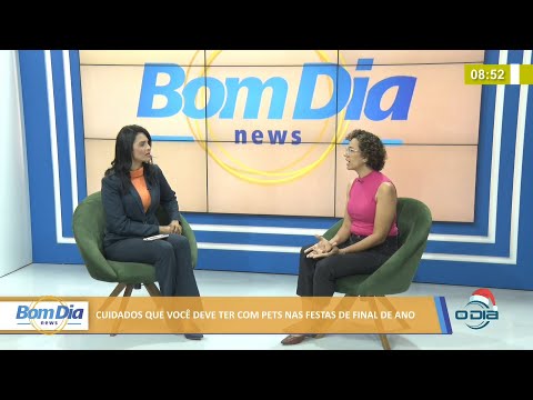 Arquiteta e artesã fala de cuidados com pets nas festas de final de ano 20 12 2021